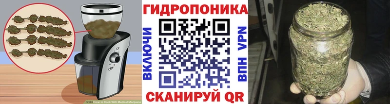 blacksprut онион  Нижнекамск  Canna-Cookies конопля 