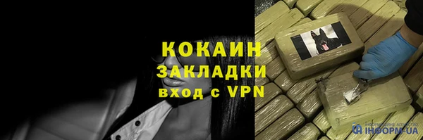 прущие грибы Володарск