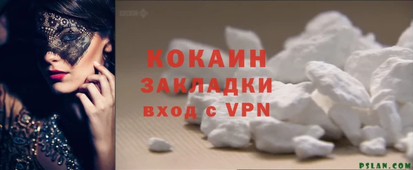 прущие грибы Володарск