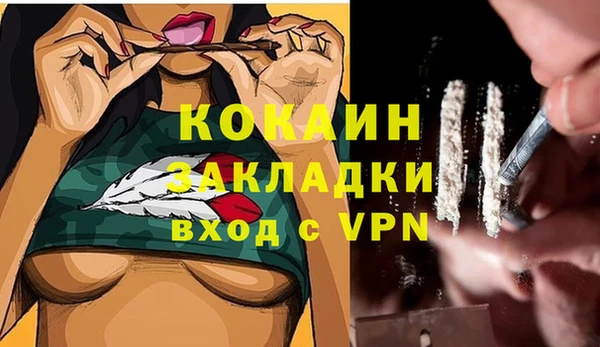 прущие грибы Володарск