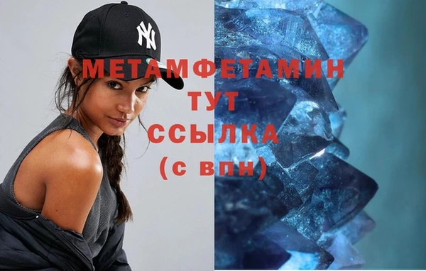 прущие грибы Володарск